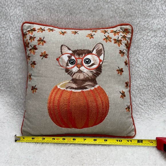 PIER 1 Harvest throw pillow kitty in pumpkin thankgiving halloween orange 12" - Picture 5 of 14